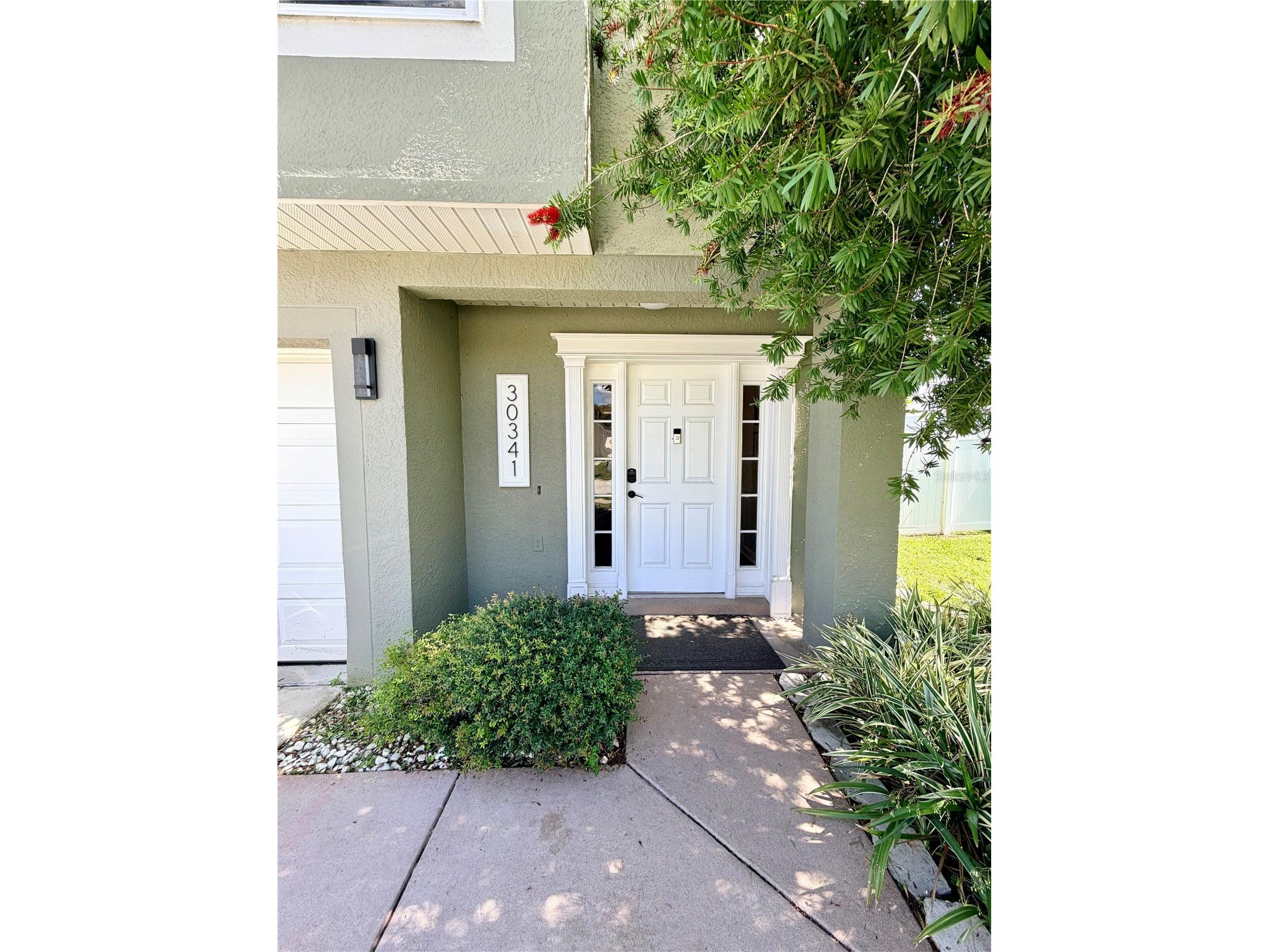 30341 Pongo Way Wesley Chapel FL 33545 TB8525510 image3