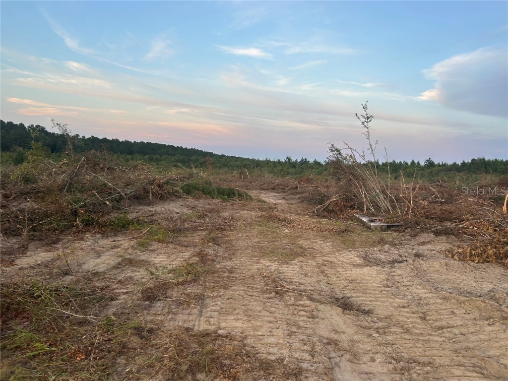 1520 N Highway 181 Westville FL 32464 TB8450601 image1