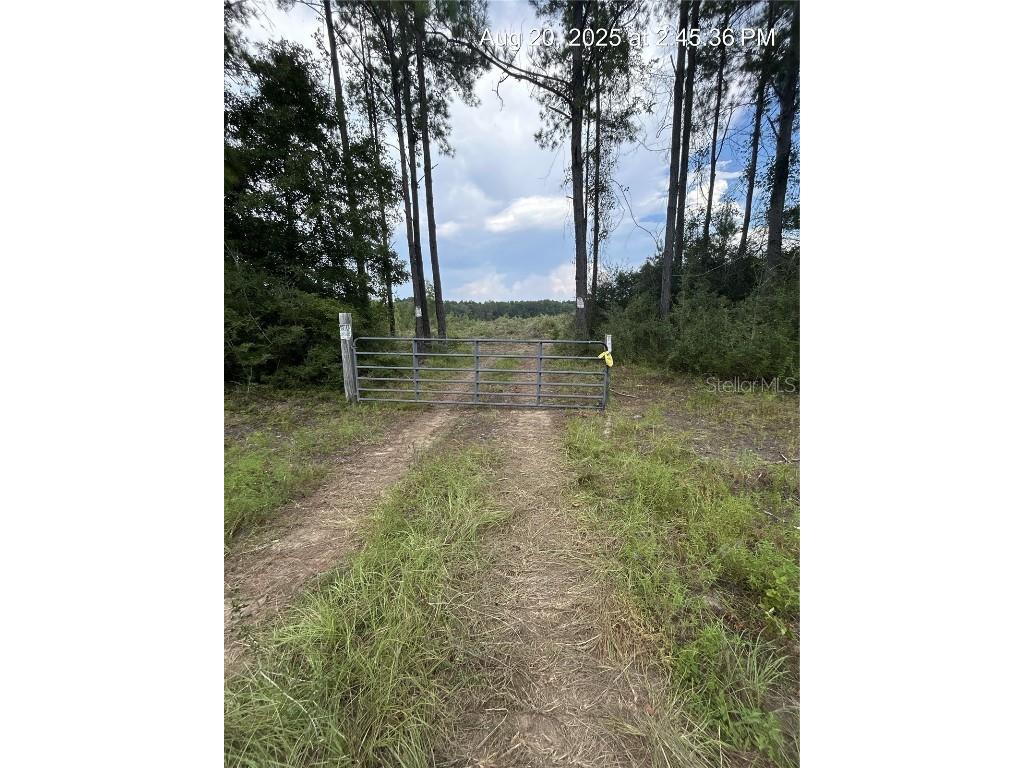 1520 N Highway 181 Westville FL 32464 TB8450601 image2