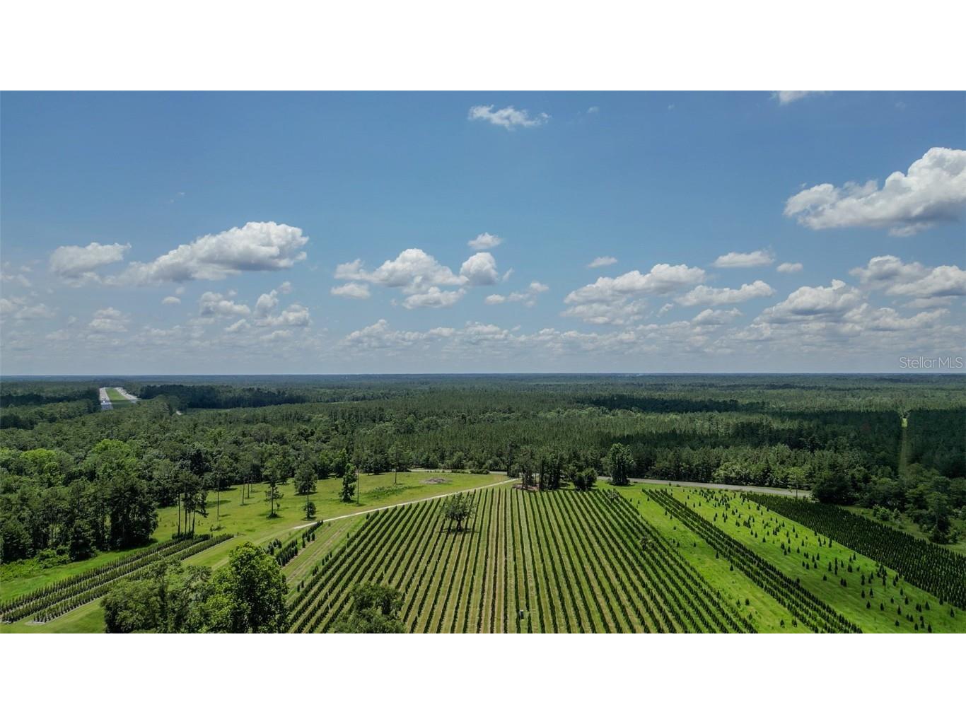  White Springs FL 32096 V4943564 image10