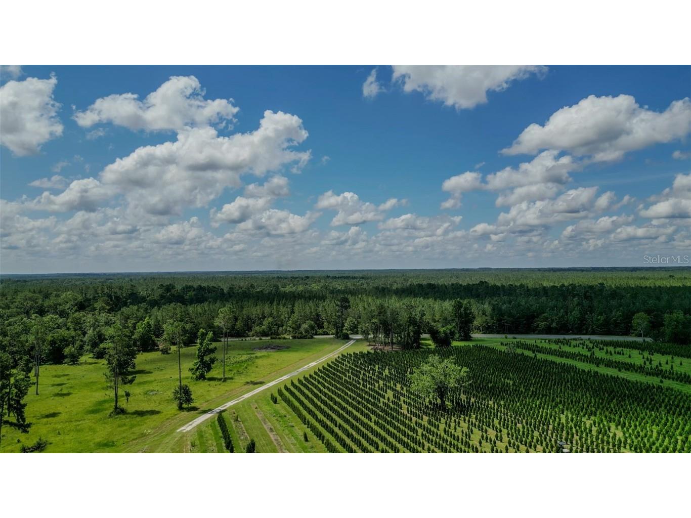  White Springs FL 32096 V4943564 image11