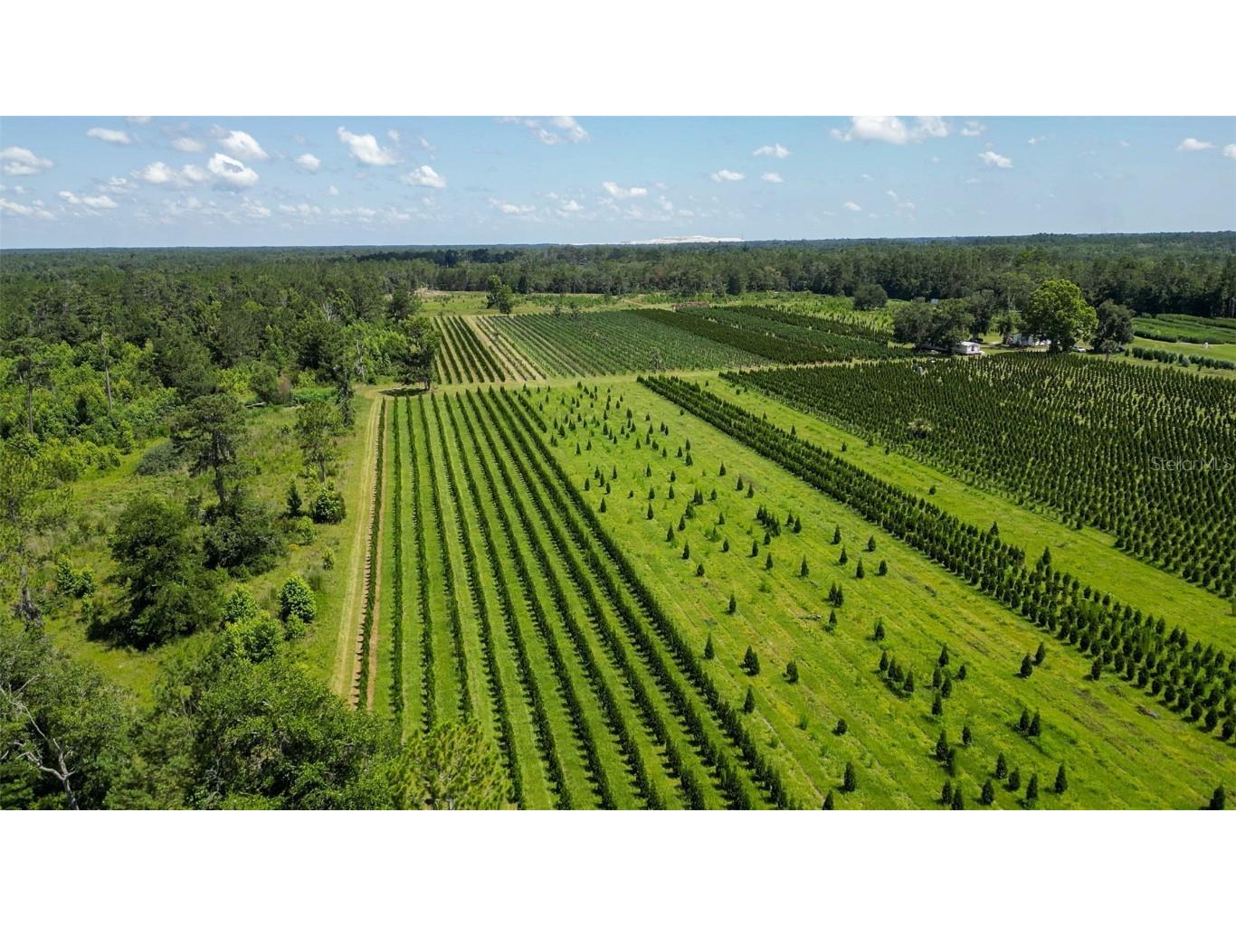  White Springs FL 32096 V4943564 image13