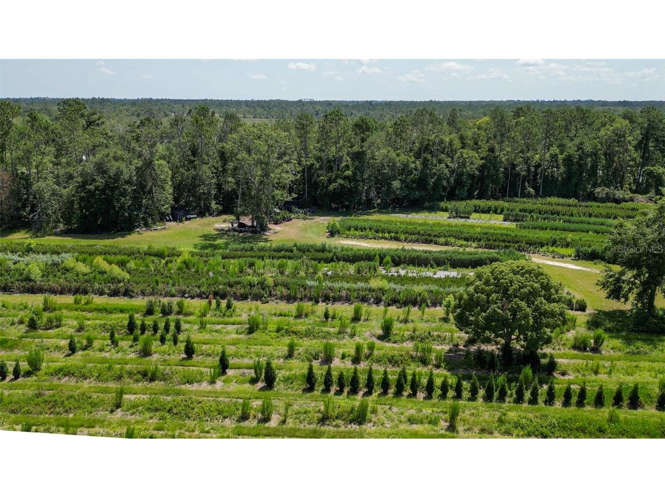  White Springs FL 32096 V4943564 image16