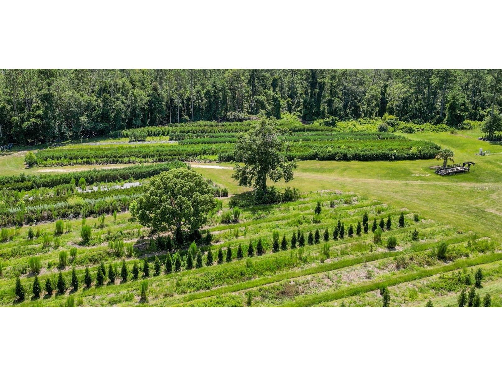  White Springs FL 32096 V4943564 image17