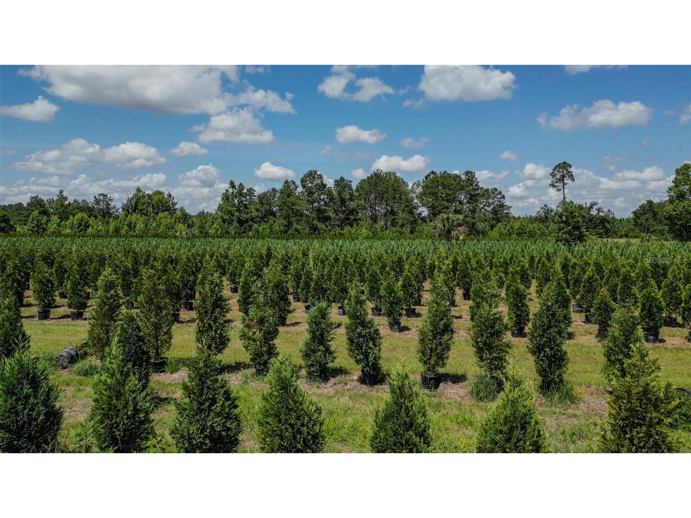  White Springs FL 32096 V4943564 image18