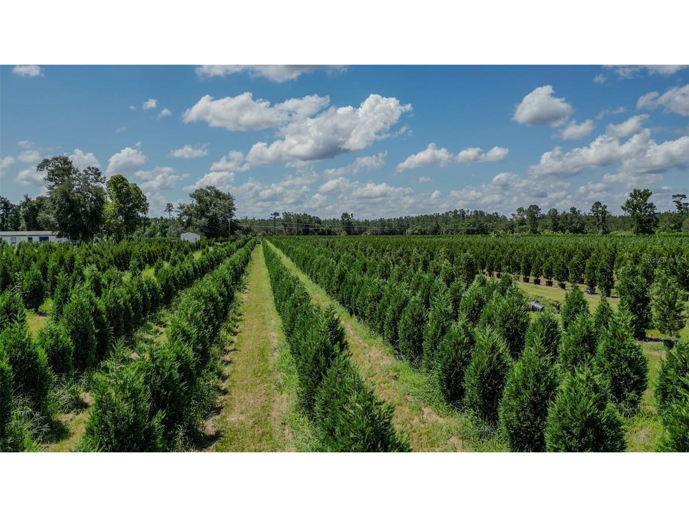  White Springs FL 32096 V4943564 image19