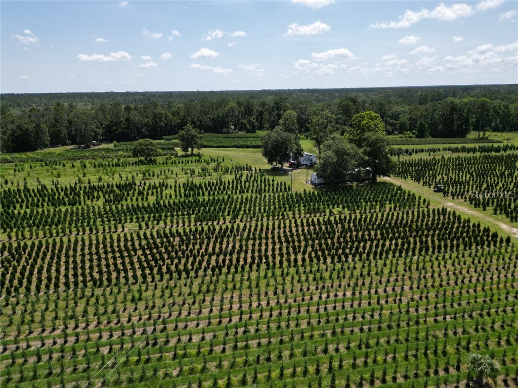  White Springs FL 32096 V4943564 image2