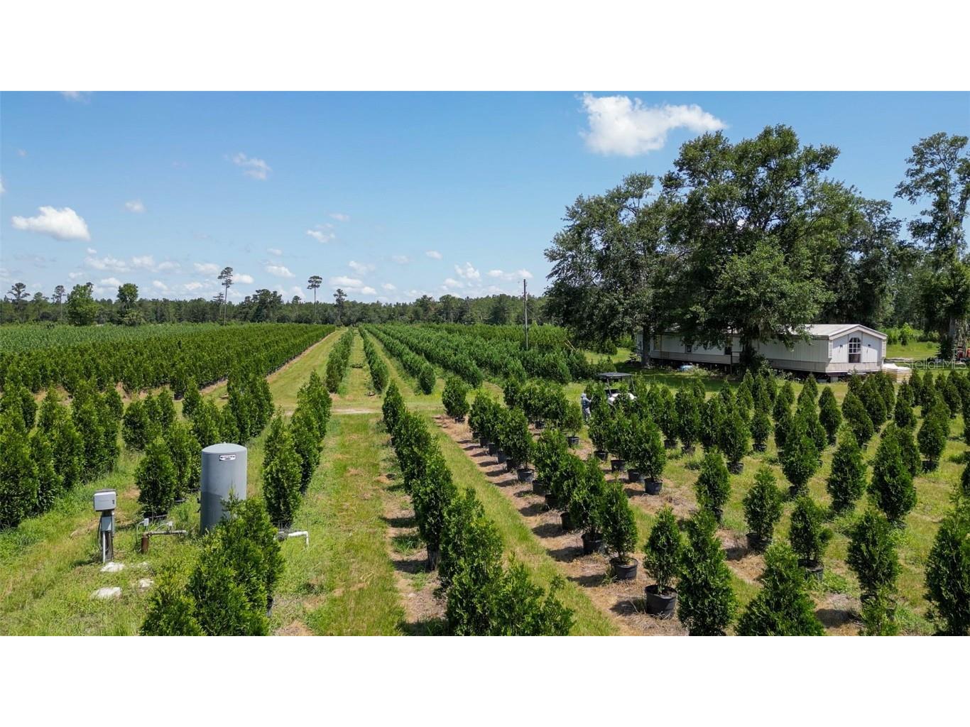  White Springs FL 32096 V4943564 image20