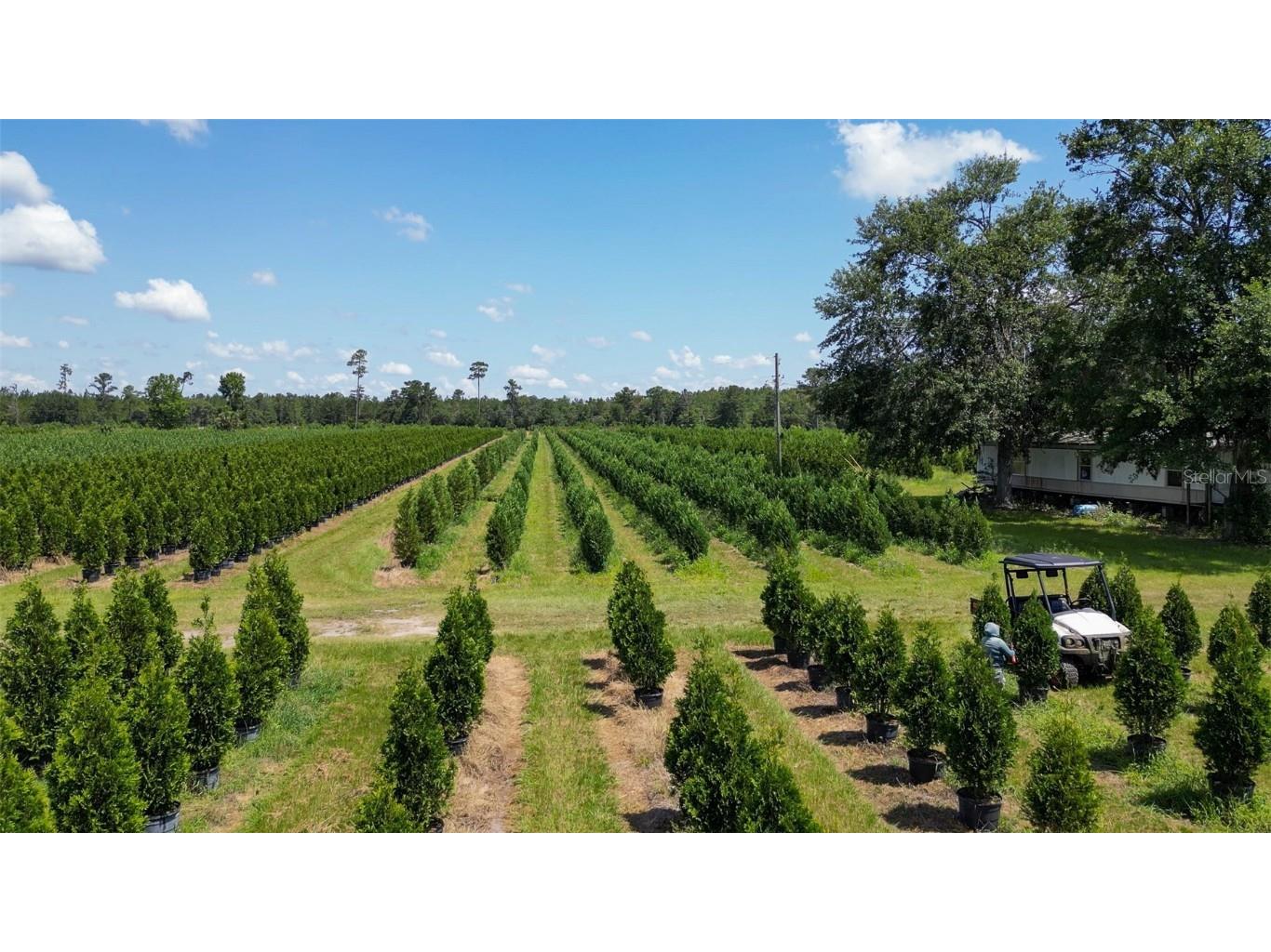  White Springs FL 32096 V4943564 image21