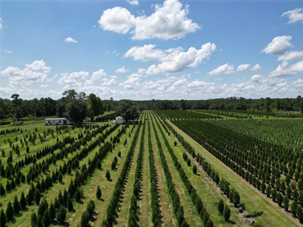  White Springs FL 32096 V4943564 image22