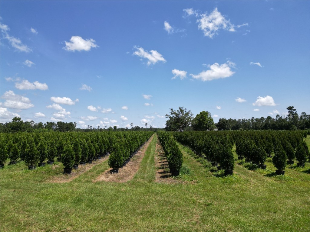  White Springs FL 32096 V4943564 image23