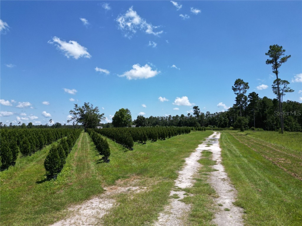  White Springs FL 32096 V4943564 image24