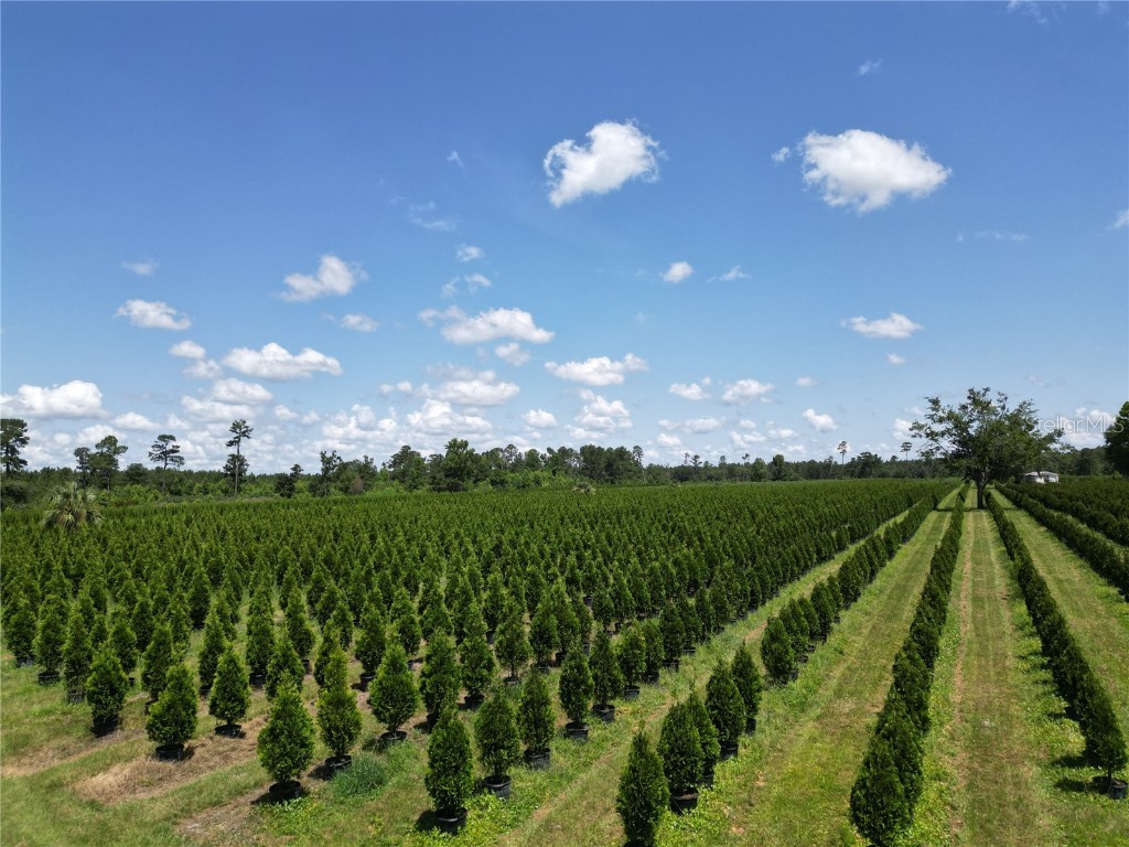  White Springs FL 32096 V4943564 image25