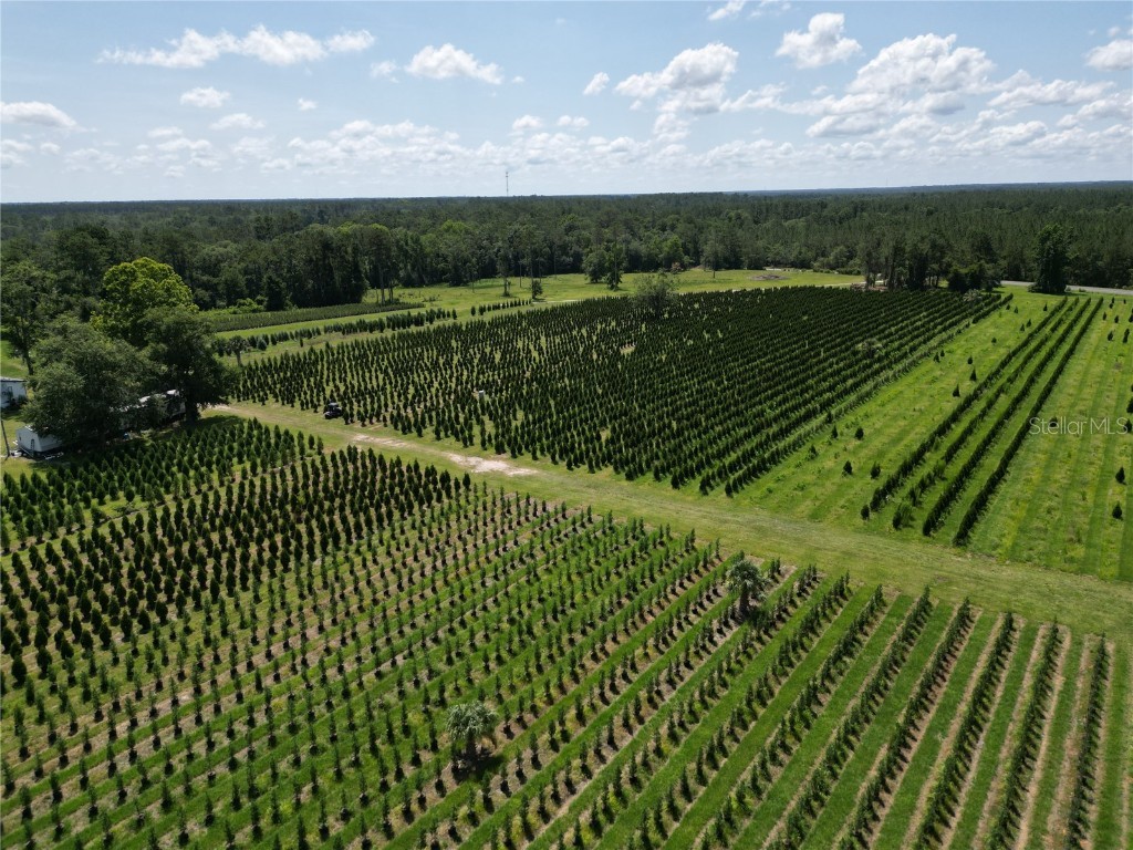  White Springs FL 32096 V4943564 image27