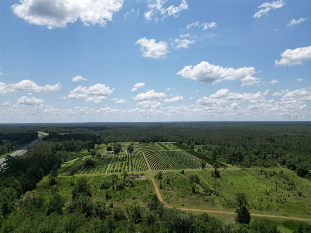  White Springs FL 32096 V4943564 image28