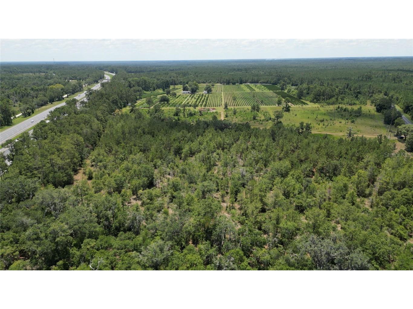  White Springs FL 32096 V4943564 image5