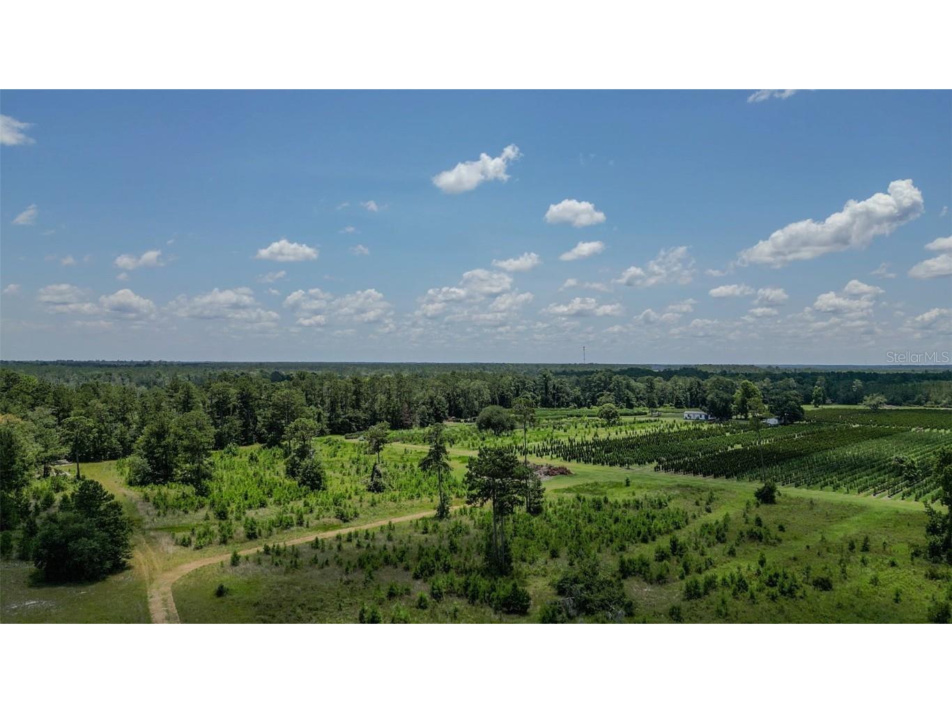  White Springs FL 32096 V4943564 image6