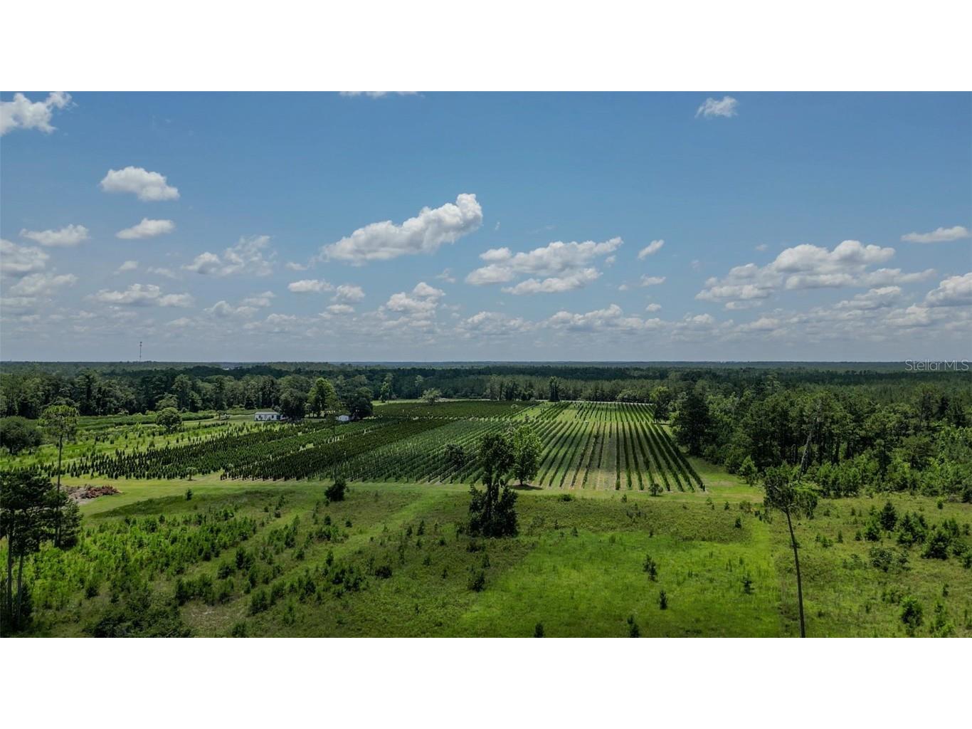  White Springs FL 32096 V4943564 image8