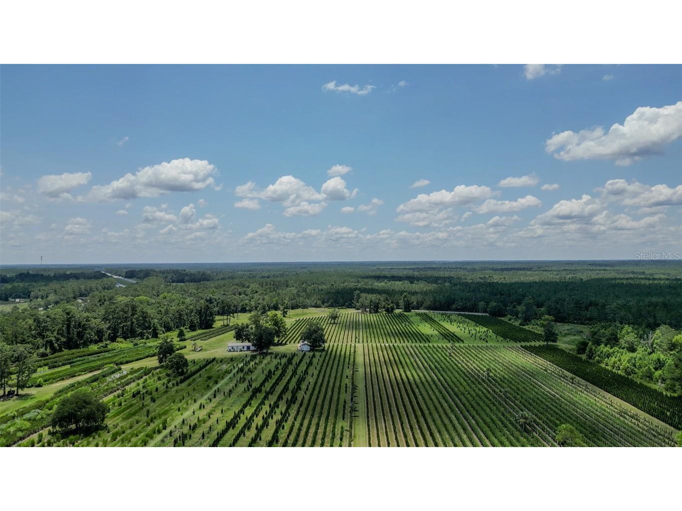  White Springs FL 32096 V4943564 image9