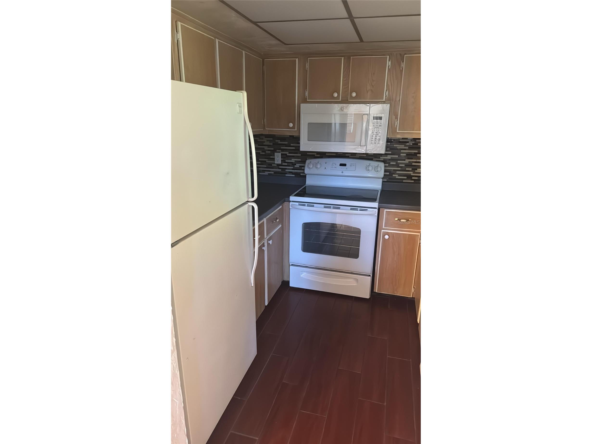  Wildwood FL 34785 G5109105 image31