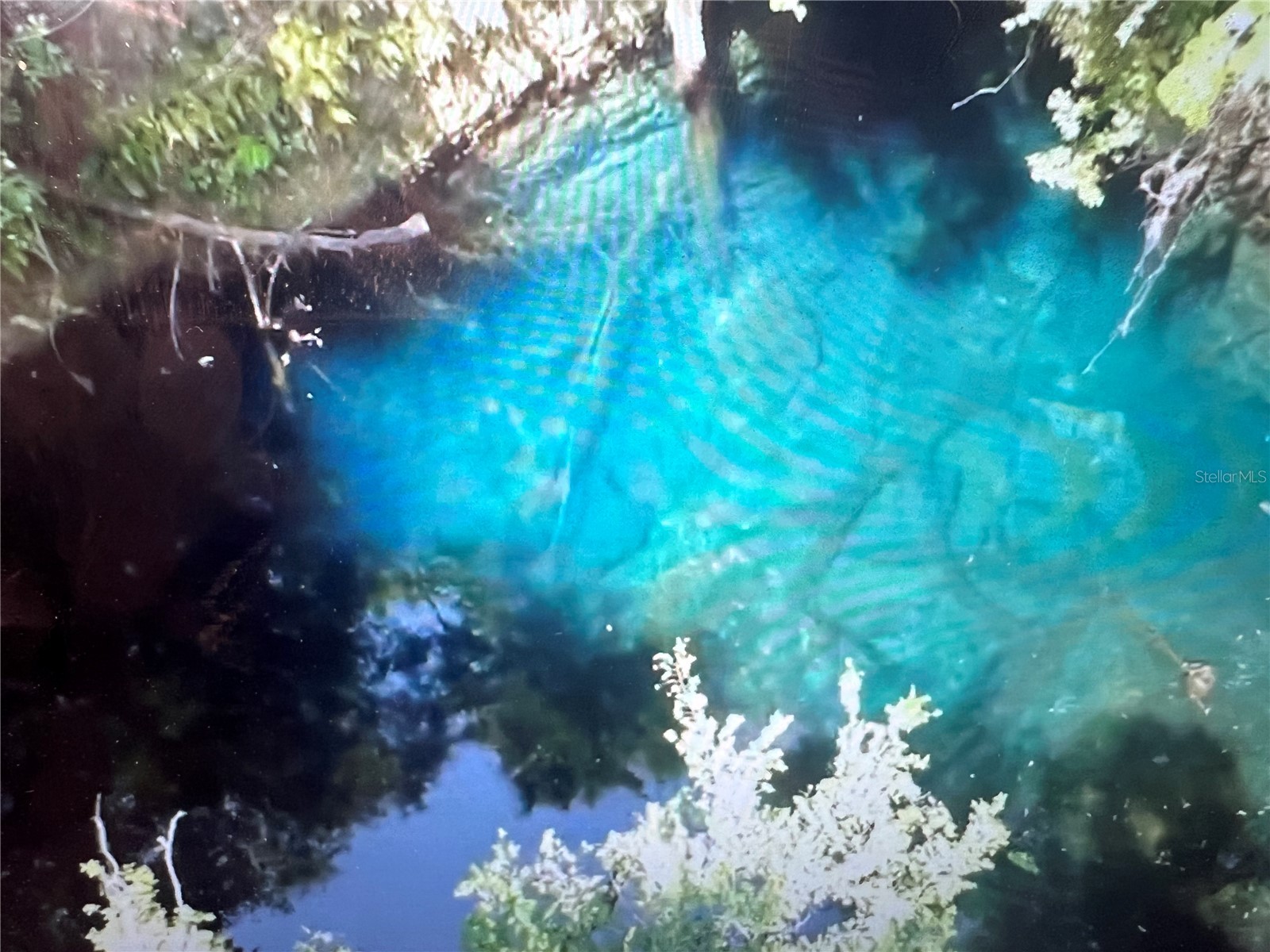  Williston FL 32696 GC534430 image1