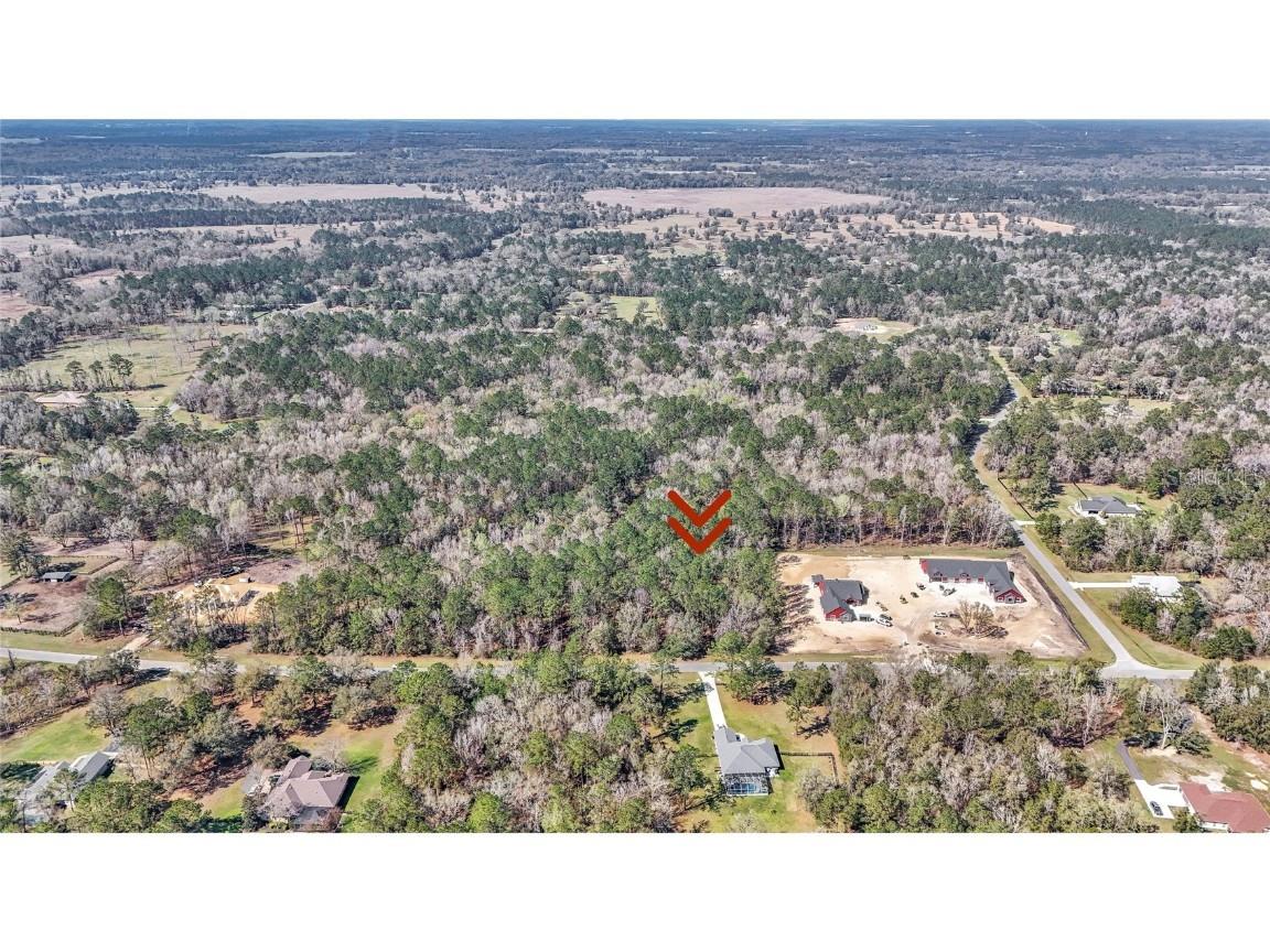  Williston FL 32696 OM695779 image1