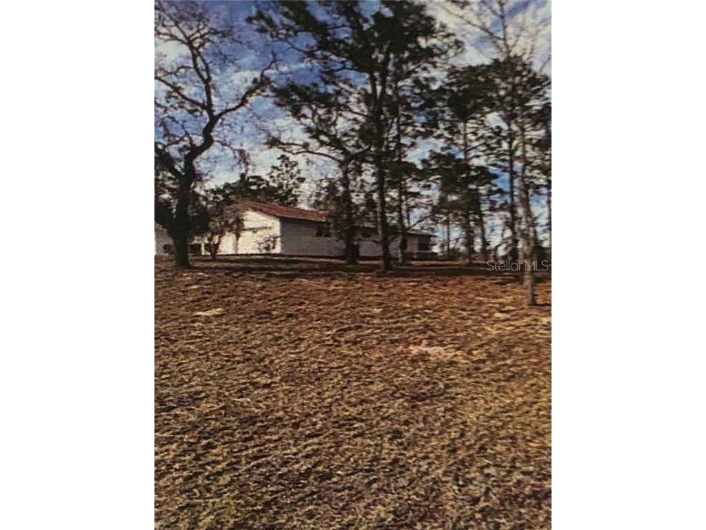  Williston FL 32696 OM704707 image1