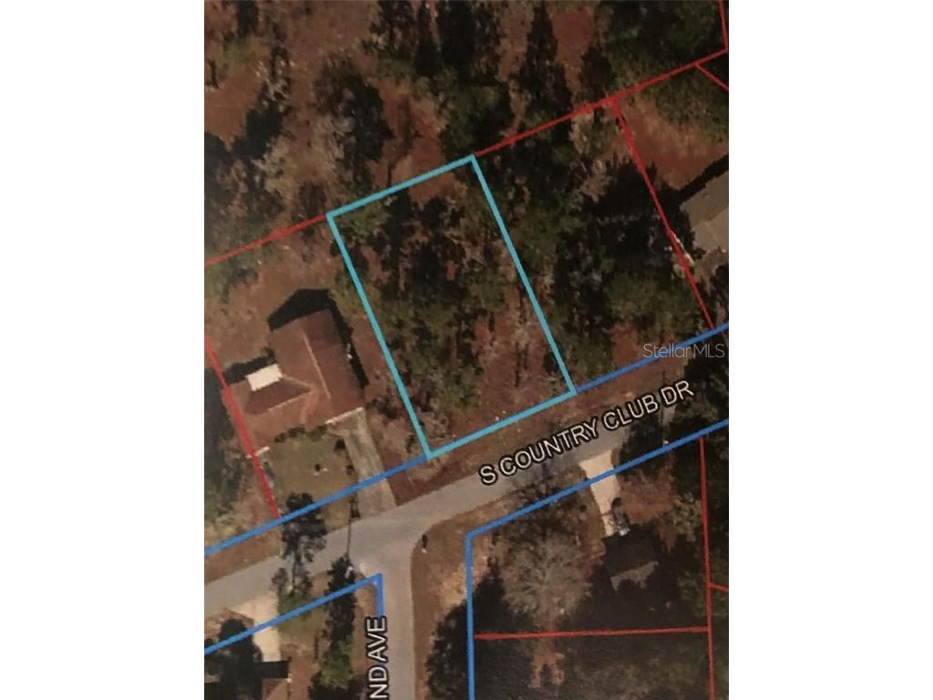  Williston FL 32696 OM704707 image2