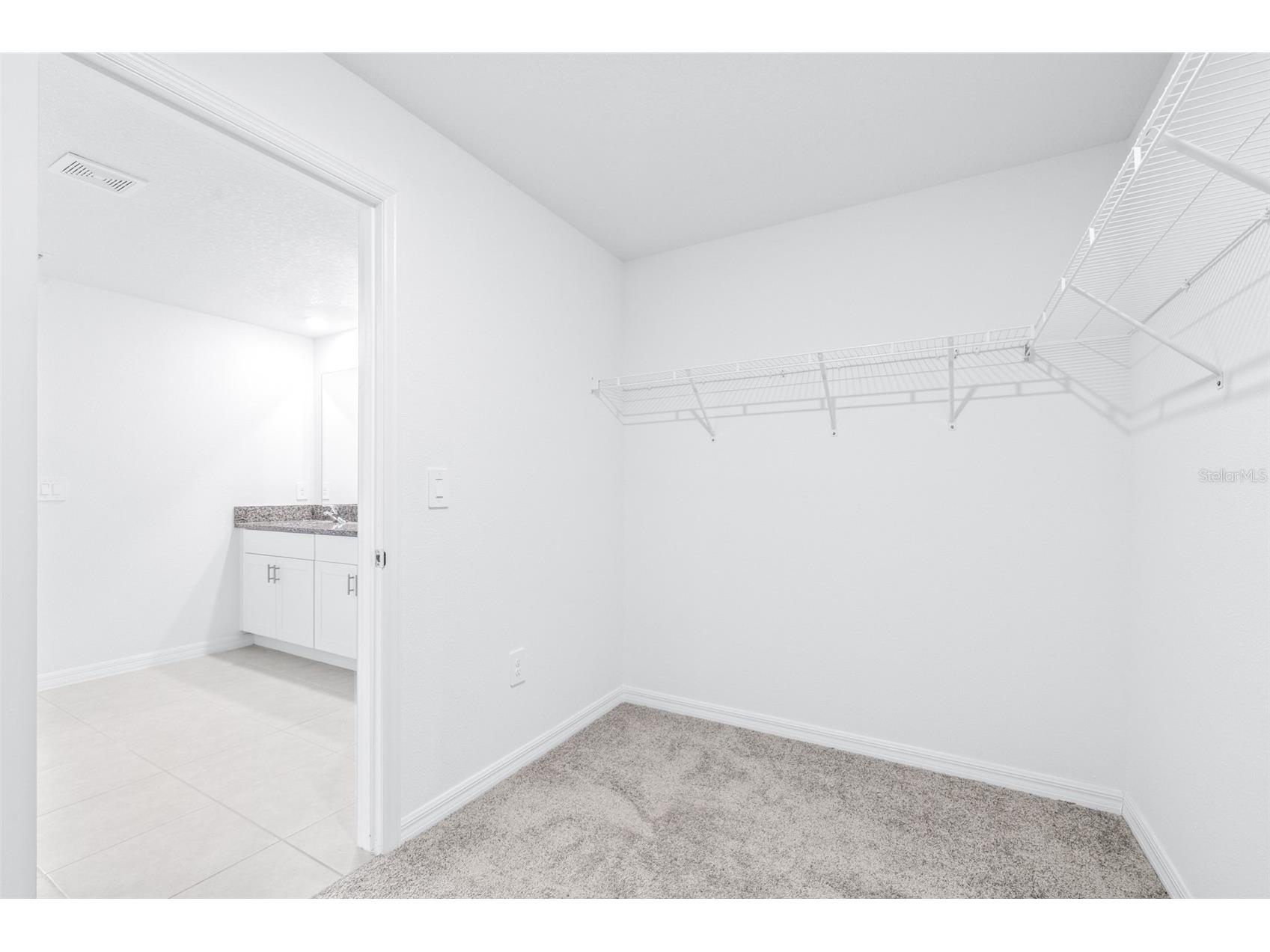 5182 Fiddle Fig Avenue Wimauma FL 33598 TB8510259 image29