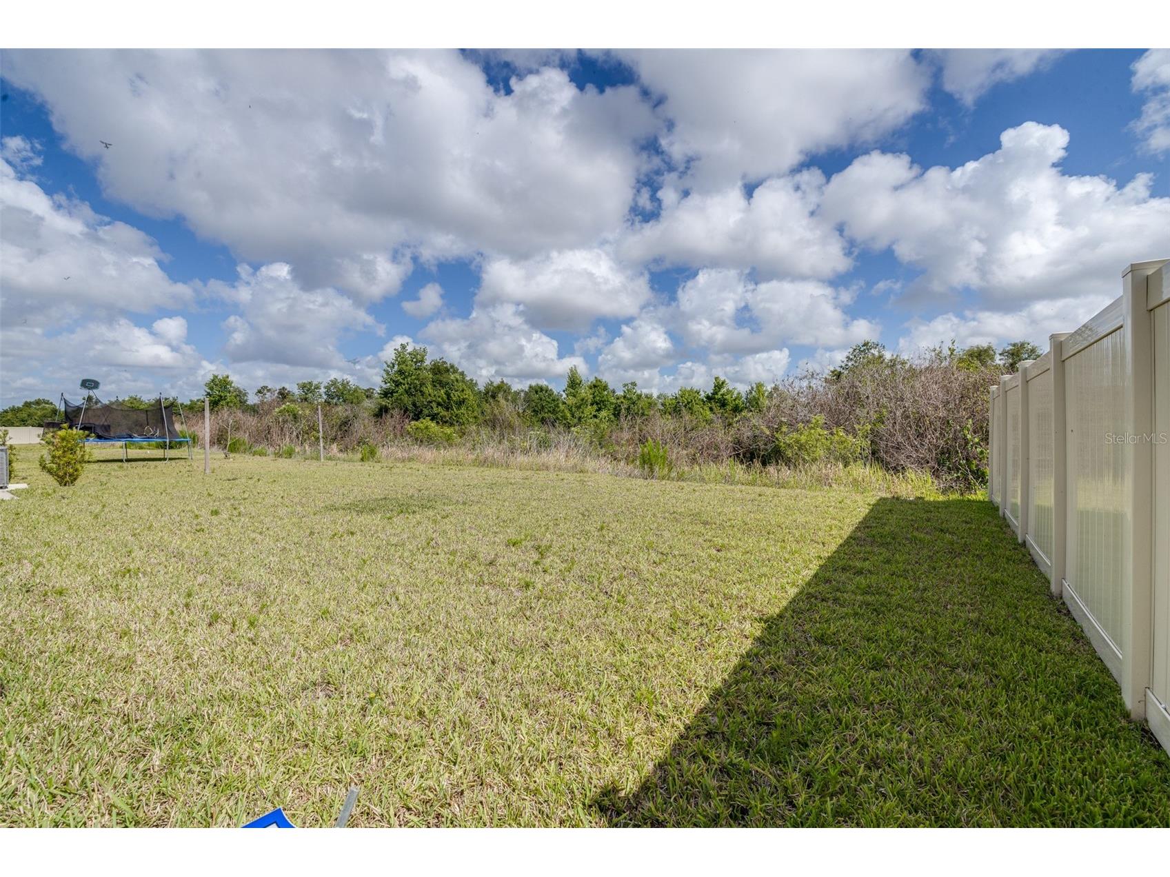 5182 Fiddle Fig Avenue Wimauma FL 33598 TB8510259 image35
