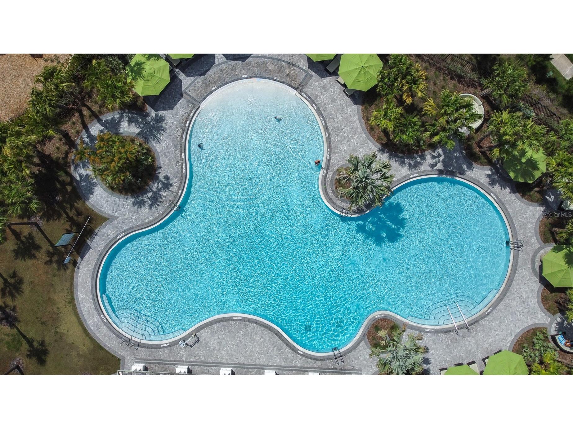 5182 Fiddle Fig Avenue Wimauma FL 33598 TB8510259 image46