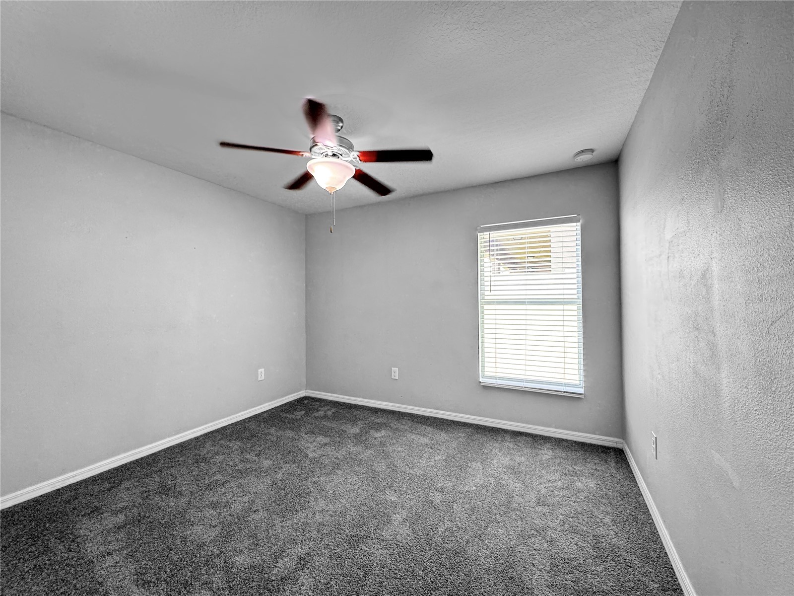  Wimauma FL 33598 TB8530342 image13
