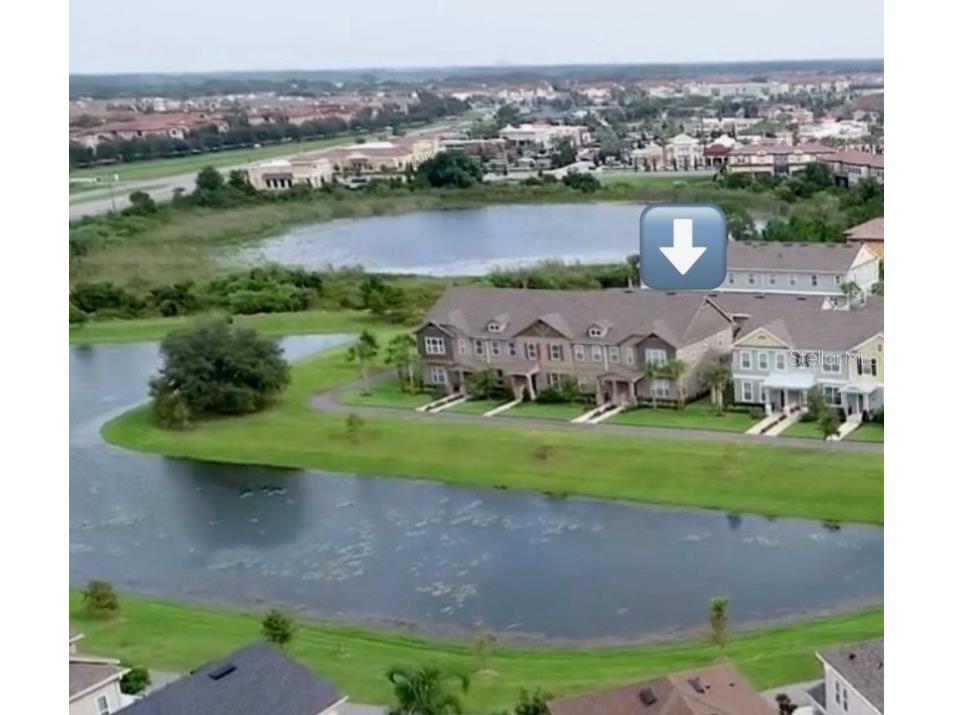  Windermere FL 34786 O6367609 image4