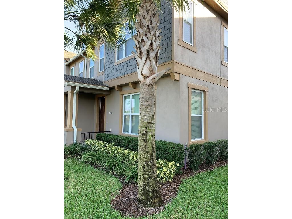  Windermere FL 34786 O6367609 image5