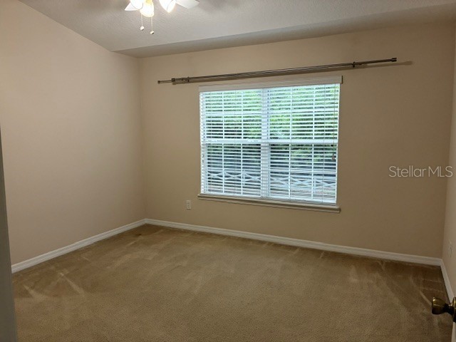  Windermere FL 34786 O6400745 image3