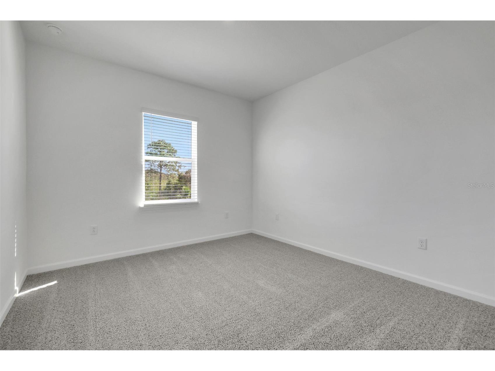  Winter Garden FL 34787 G5105009 image25