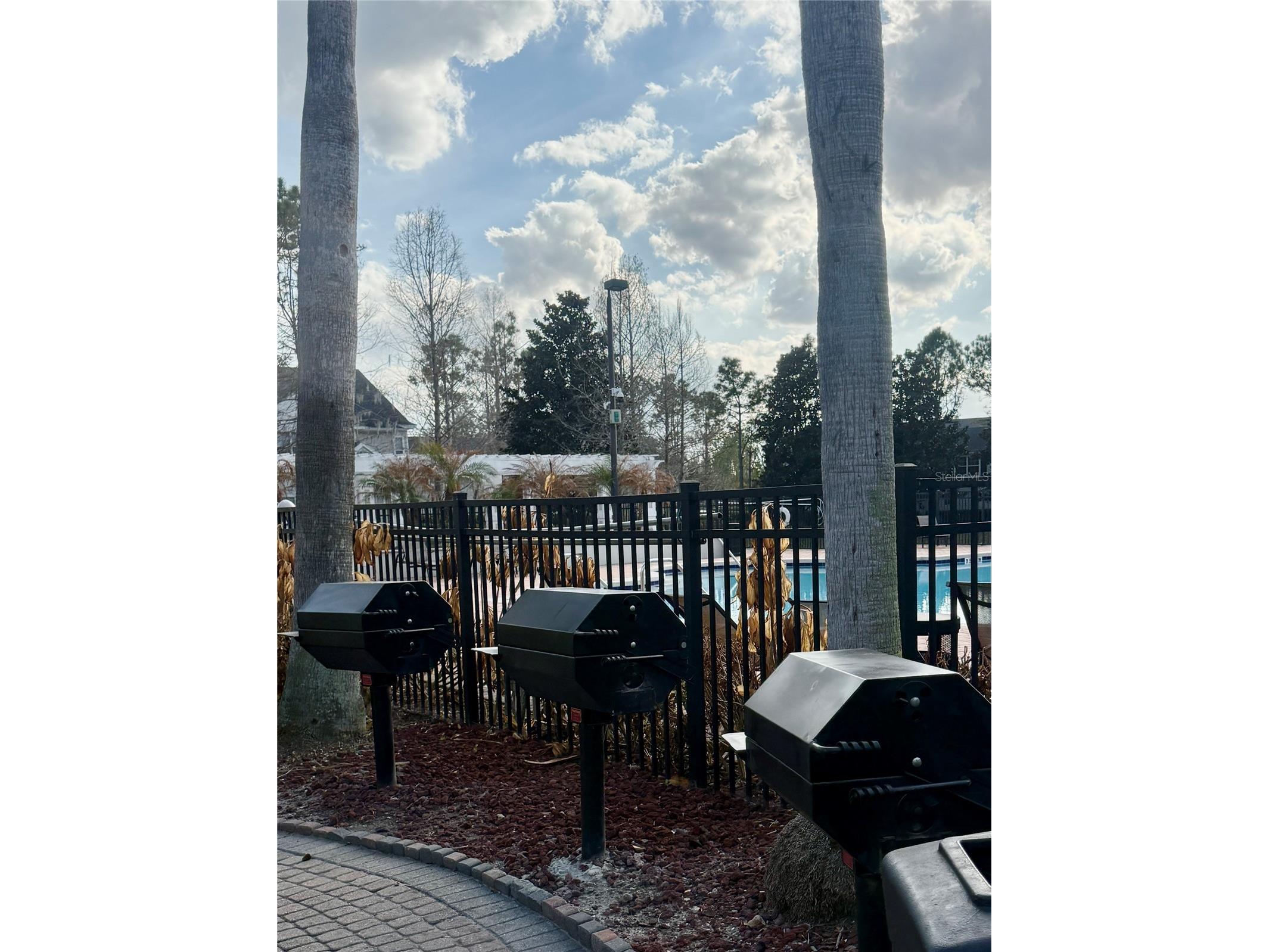  Winter Garden FL 34787 O6378945 image20