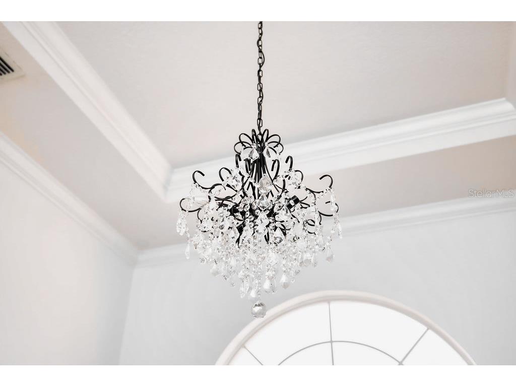 626 Duff Drive Winter Garden FL 34787 O6382820 image46