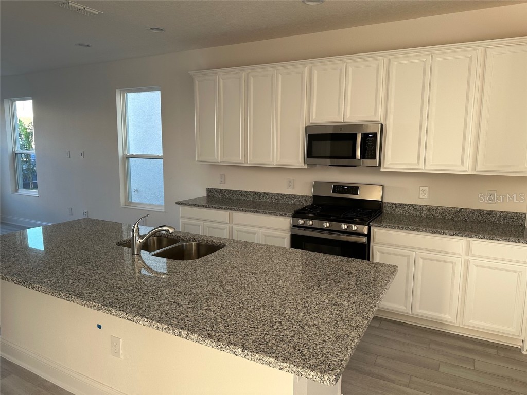  Winter Garden FL 34787 S5132994 image7