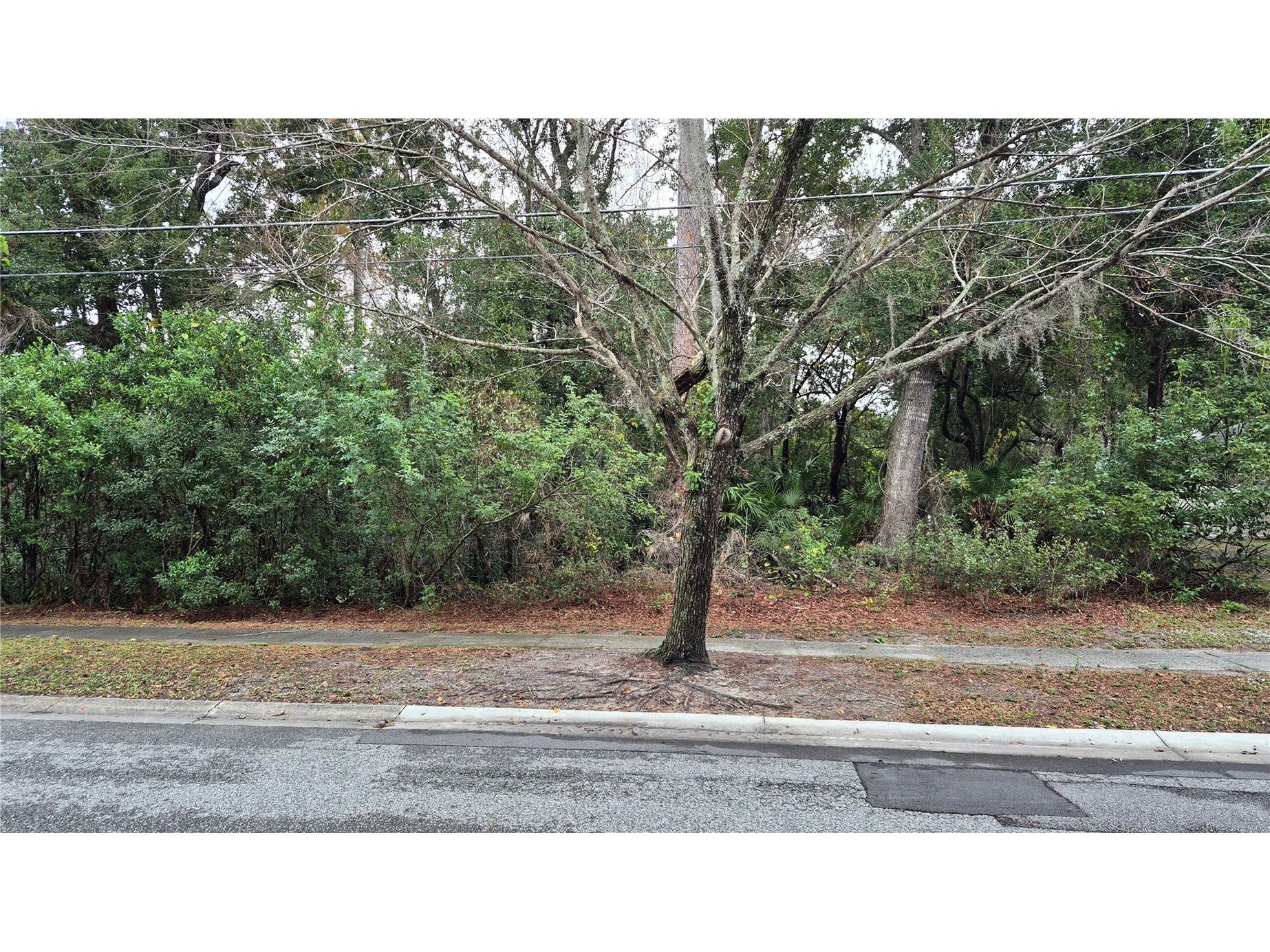  Winter Springs FL 32708 O6366217 image1