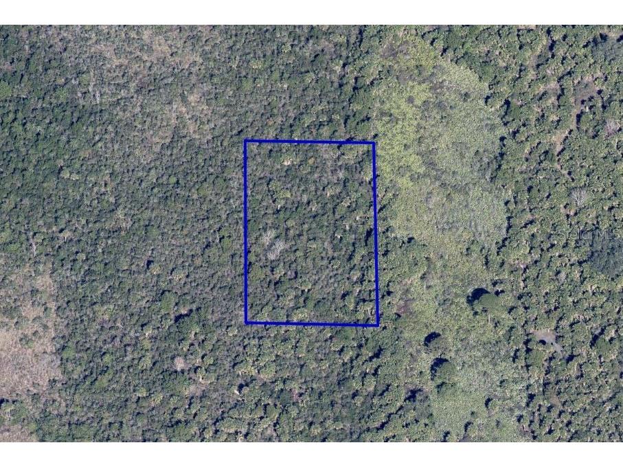 X Cocoa FL 32927 C7515155 image1