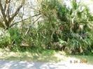 Xanthus Avenue North Port FL 34286 C7478876 image1