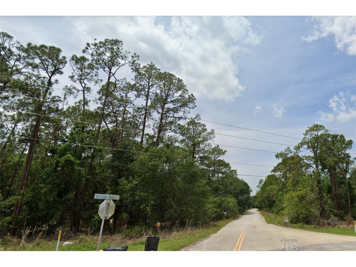 Xeriscape Nursery Road Frostproof FL 33843 O6141595 image1