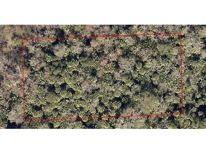 Xx Cocoa FL 32927 S5096629 image1