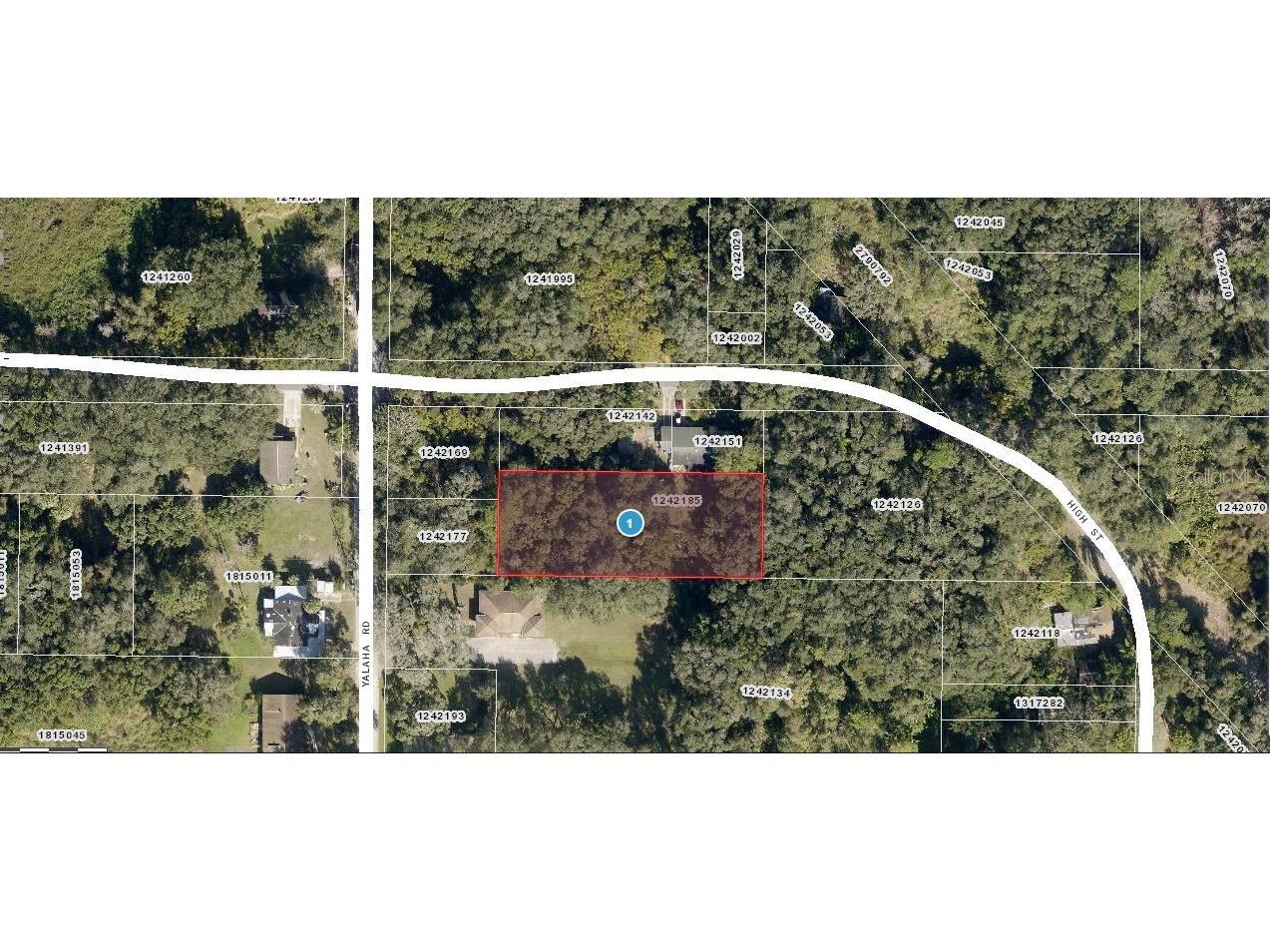 Yalaha Road Yalaha FL 34797 O6235698 image1