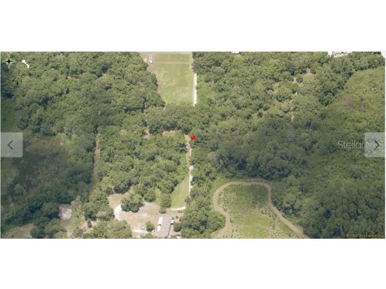 Yalaha Road Yalaha FL 34797 O6235698 image2