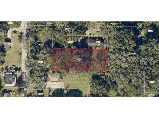 Yalaha Road Yalaha FL 34797 O6235698 image5