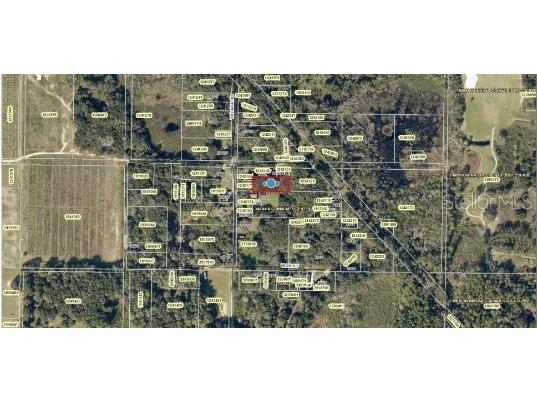 Yalaha Road Yalaha FL 34797 O6235698 image6