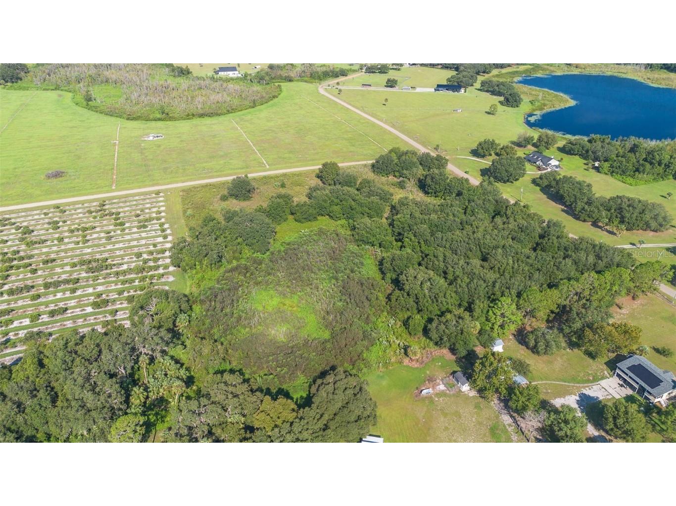 Yale Hammock Road Umatilla FL 32784 G5101325 image12