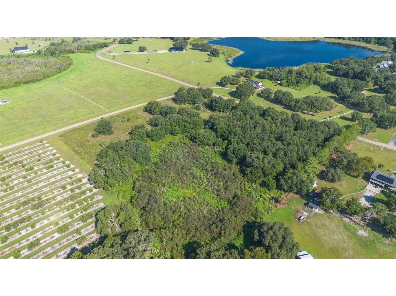 Yale Hammock Road Umatilla FL 32784 G5101325 image13